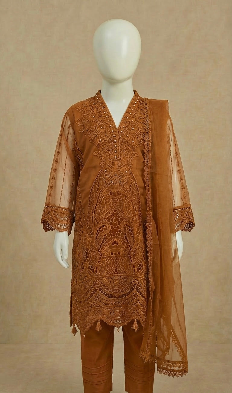 Girls Ivana Collection Burnt Orange Embroidered Organza Suit by Simrans