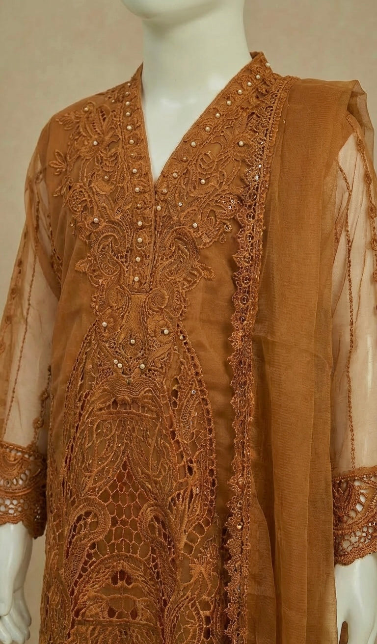 Girls Ivana Collection Burnt Orange Embroidered Organza Suit by Simrans