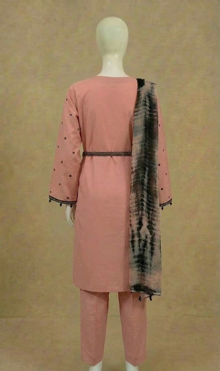 Girls Blush Belt Embroidered Dress Suit by Simrans