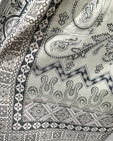 Simrans Dhanak Sage Embroidered Long Kameez Suit
