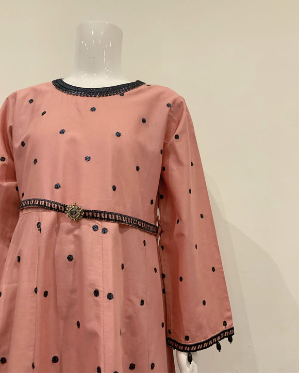 Simrans Blush Girls Belt Embroidered Dress Suit